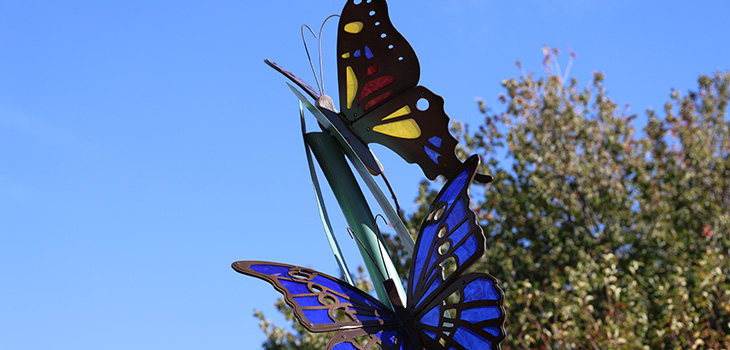A close up of butterfly statues at Douglas County