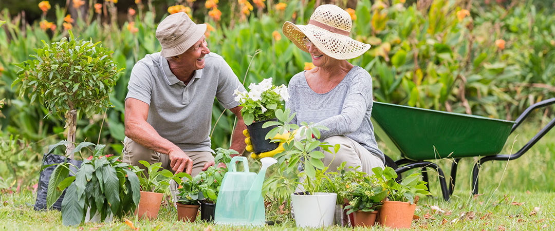 Senior couple enjoying retirement hobbies while gardening together