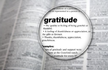 Gratitude definition