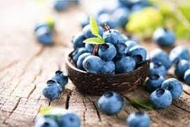 Blueberries In A Bowl