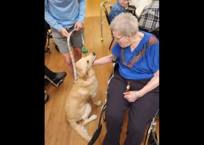 Woman petting a golden retriever