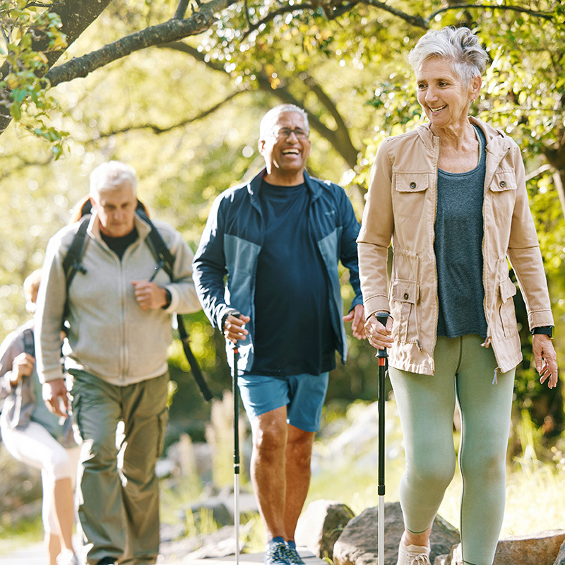 A group of seniors outdoor walking on a trail lined with trees.
