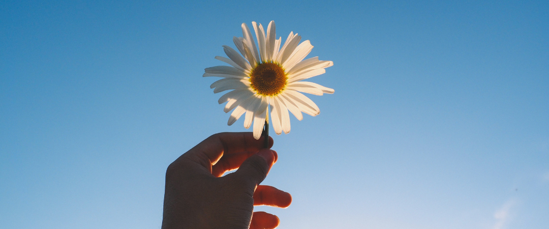 Brighter Days: How Sunshine Impacts Mood in Older Adults