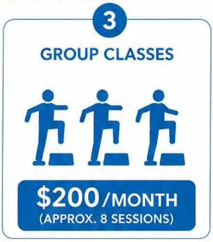 3. Group Classes. $200/month (Approx. 8 sessions)