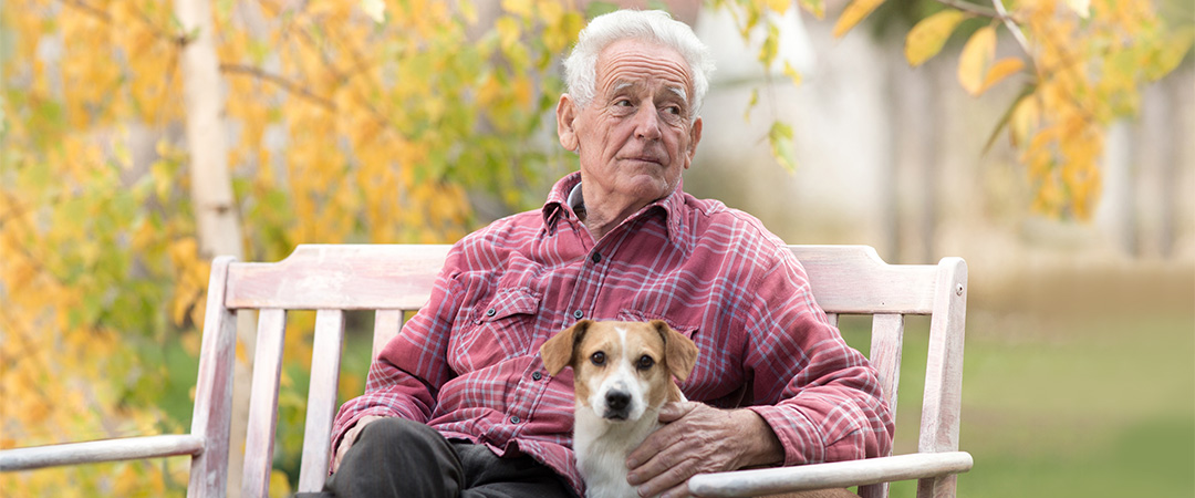 An elderly man sitting on a bench with a dog