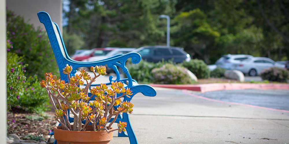 Outside park bench